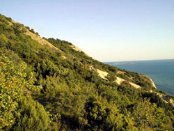 Information about Anapa